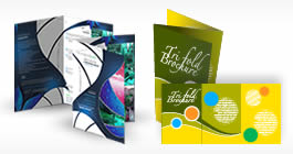 8.5x11 Flyers