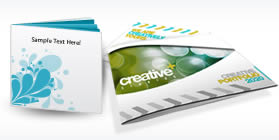 Custom Catalogs