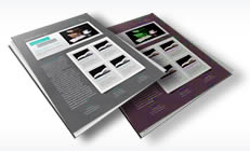4 Page Newsletters